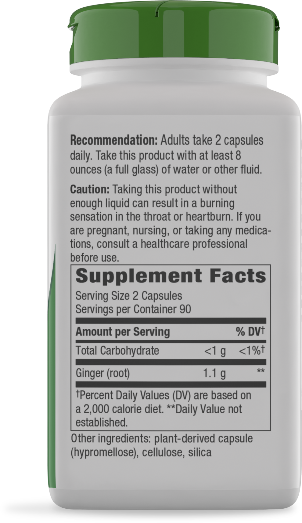 <{%360IMAGE1_13108%}>Nature's Way® | Ginger Root - right side of pack