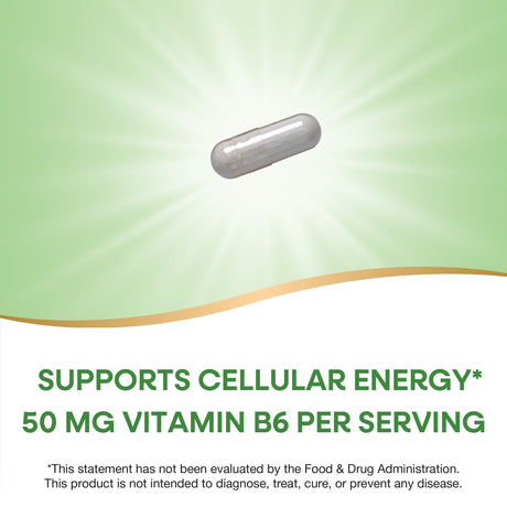 <{%MAIN2_40431%}>Nature's Way® | Vitamin B6 High Potency