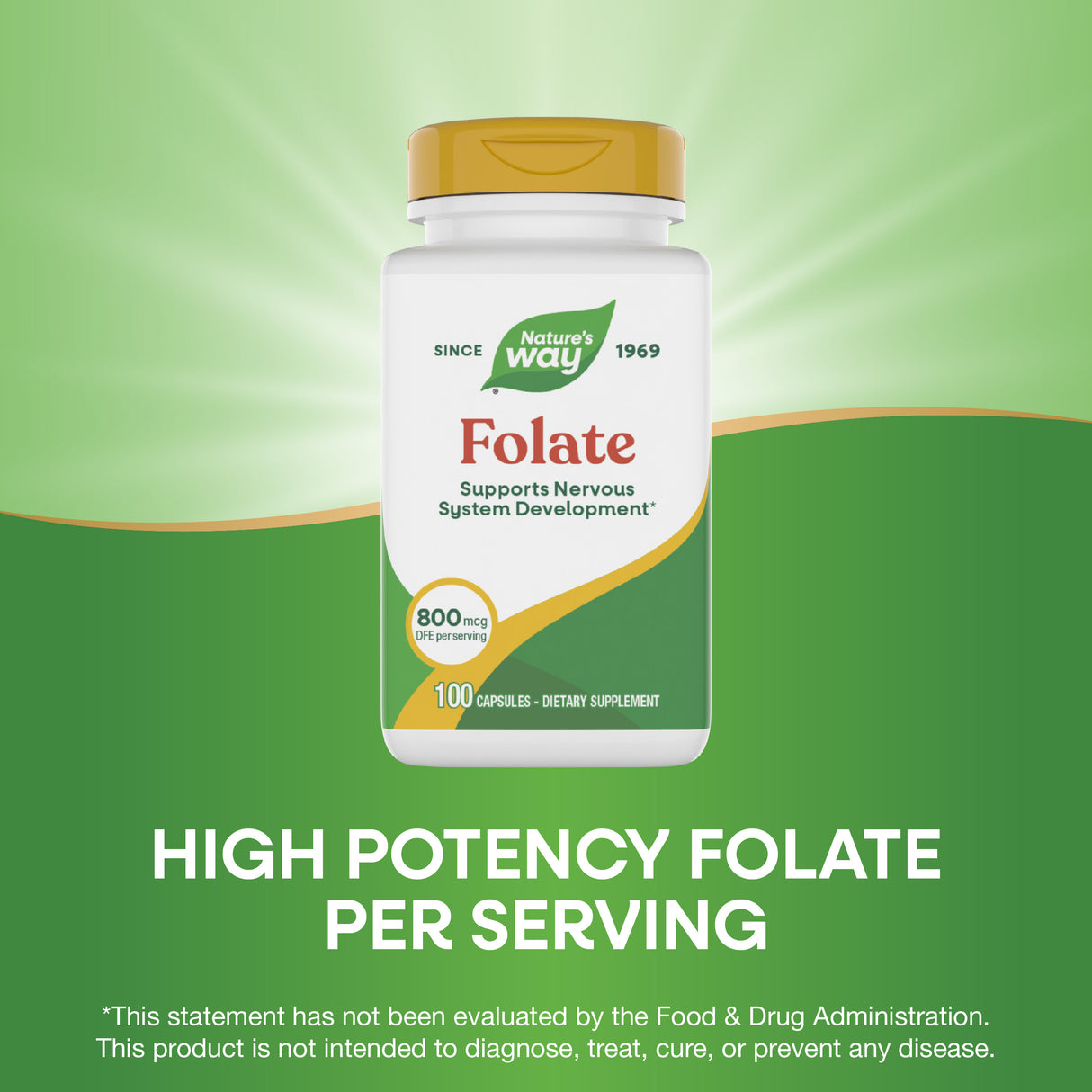 <{%MAIN3_40451%}>Nature's Way® | Folate