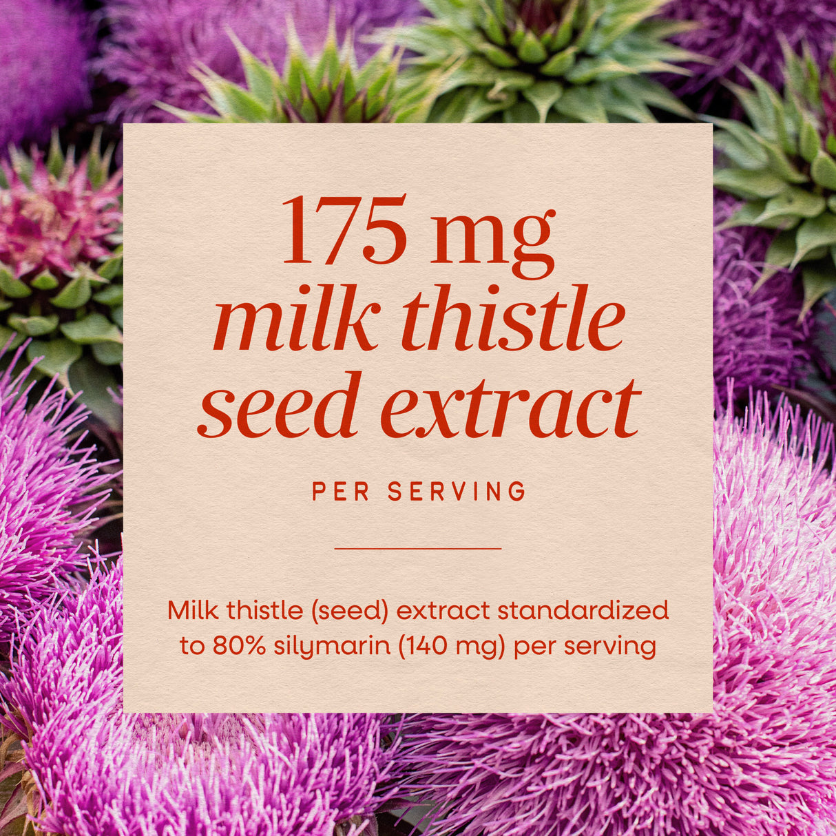 <{%MAIN10_15355%}>Nature's Way® | Milk Thistle