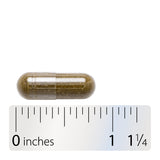 <{%360IMAGE4_14160%}>Nature's Way® | Peppermint Leaf - Capsule and ruler