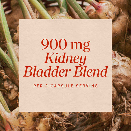 <{%MAIN3_110%}>Nature's Way® | Kidney Bladder Premium Blend
