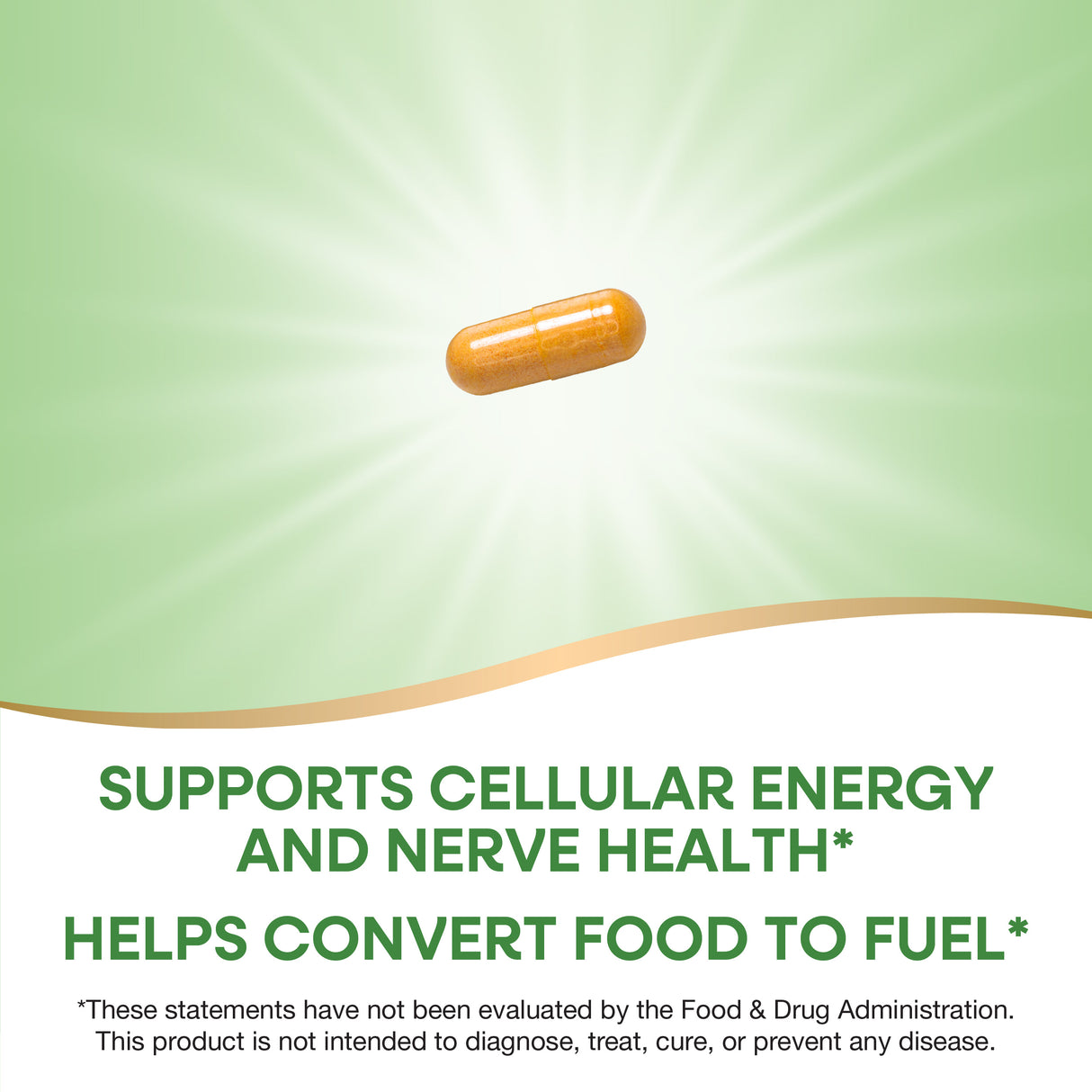 <{%MAIN8_40521%}>Nature's Way® | Vitamin B-100 Complex