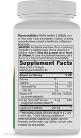 <{%360IMAGE1_05219%}>Nature's Way® | Energizing Iron - right side of pack