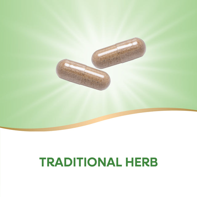 <{%MAIN2_11250%}>Nature's Way® | Butcher's Broom Root