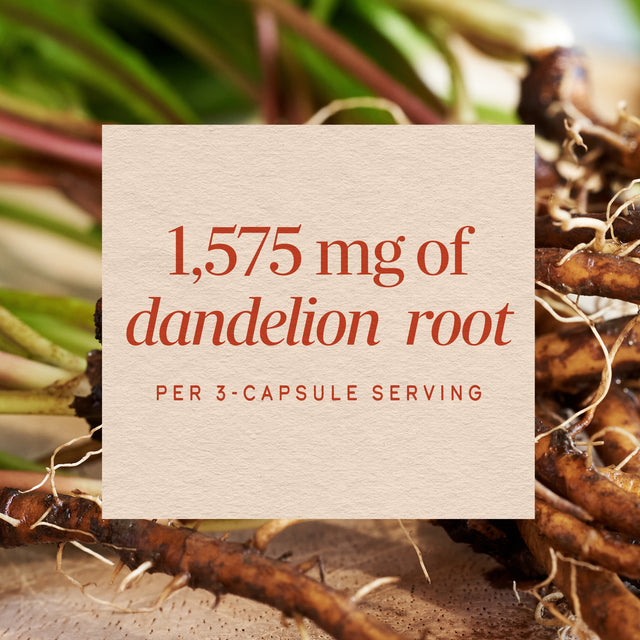 <{%MAIN3_15336%}>Nature's Way® | Dandelion Root