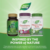 <{%MAIN5_15135%}>Nature's Way® | Cranberry Premium Blend