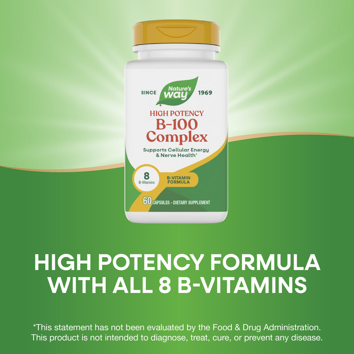 <{%MAIN3_40520%}>Nature's Way® | Vitamin B-100 Complex