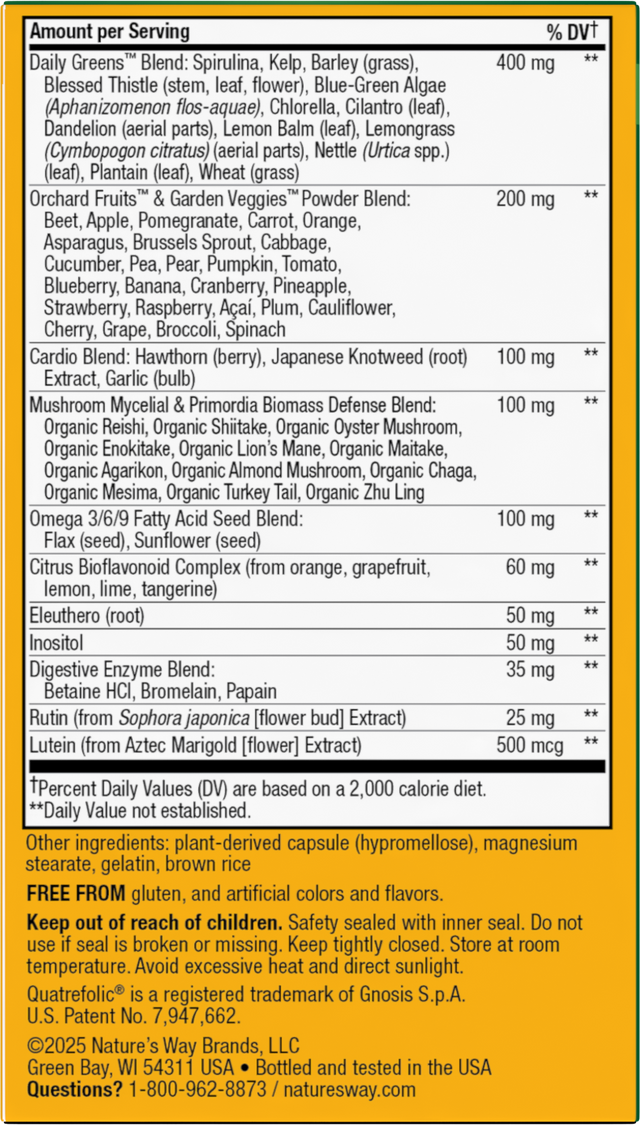 <{%360IMAGE2_15092%}>Nature's Way® | Alive! Max6 Potency Adult Complete Multivitamin-No Added Iron - back of pack