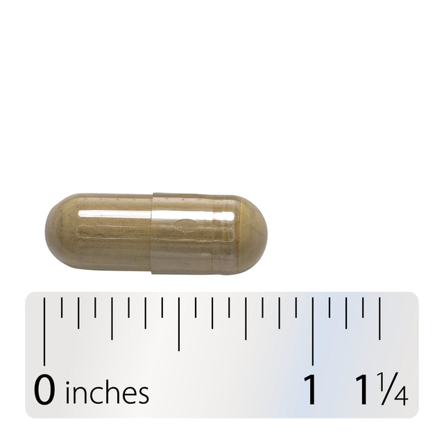 <{%360IMAGE4_64000%}>Nature's Way® | Olive Leaf Standardized Extract - Capsule and ruler