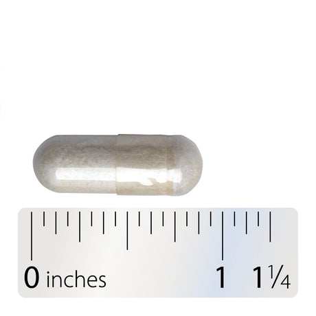<{%360IMAGE3_01787%}>Nature's Way® | GS-500 Glucosamine Sulfate - Capsule and ruler