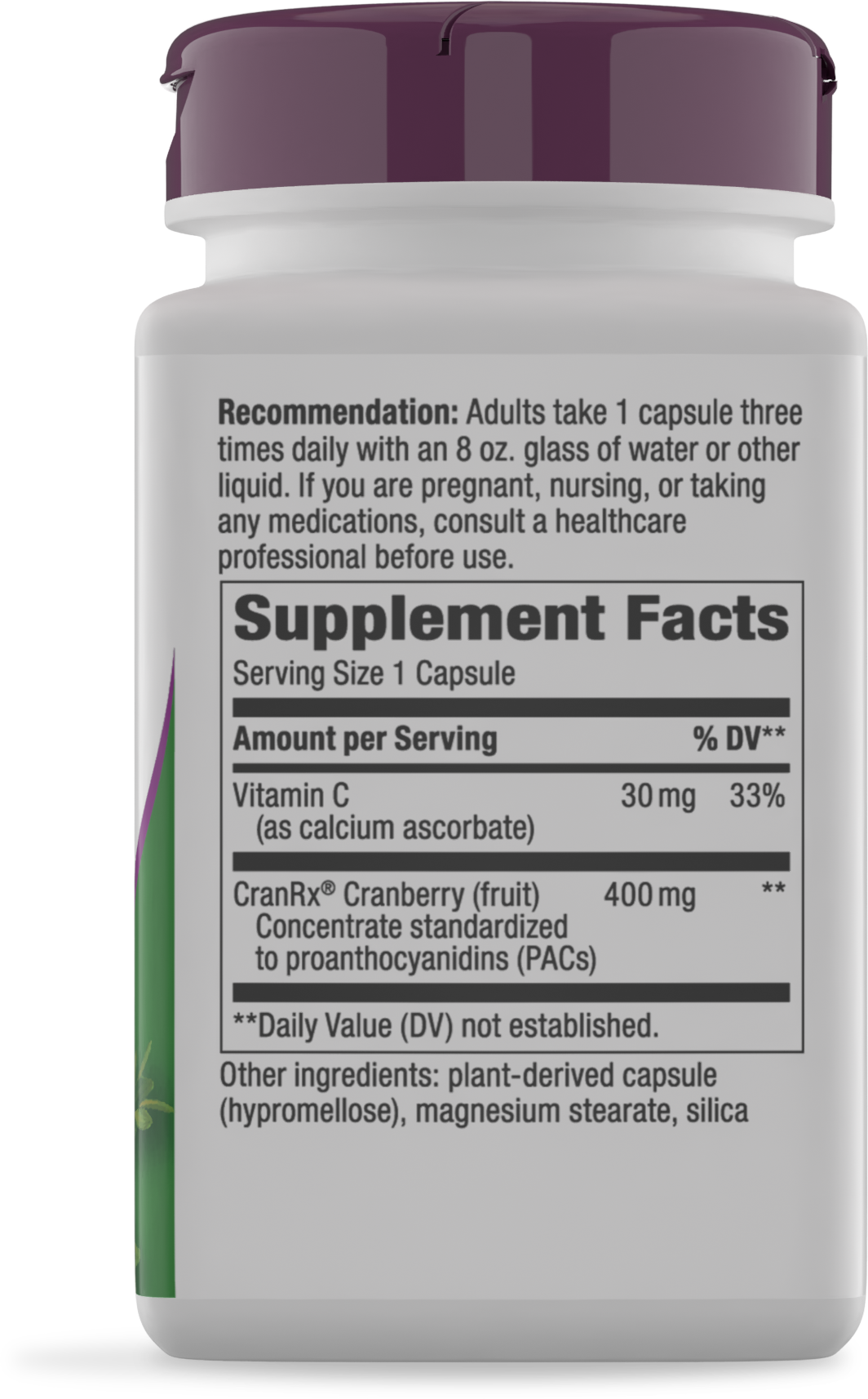 <{%360IMAGE1_15135%}>Nature's Way® | Cranberry Premium Blend - right side of pack