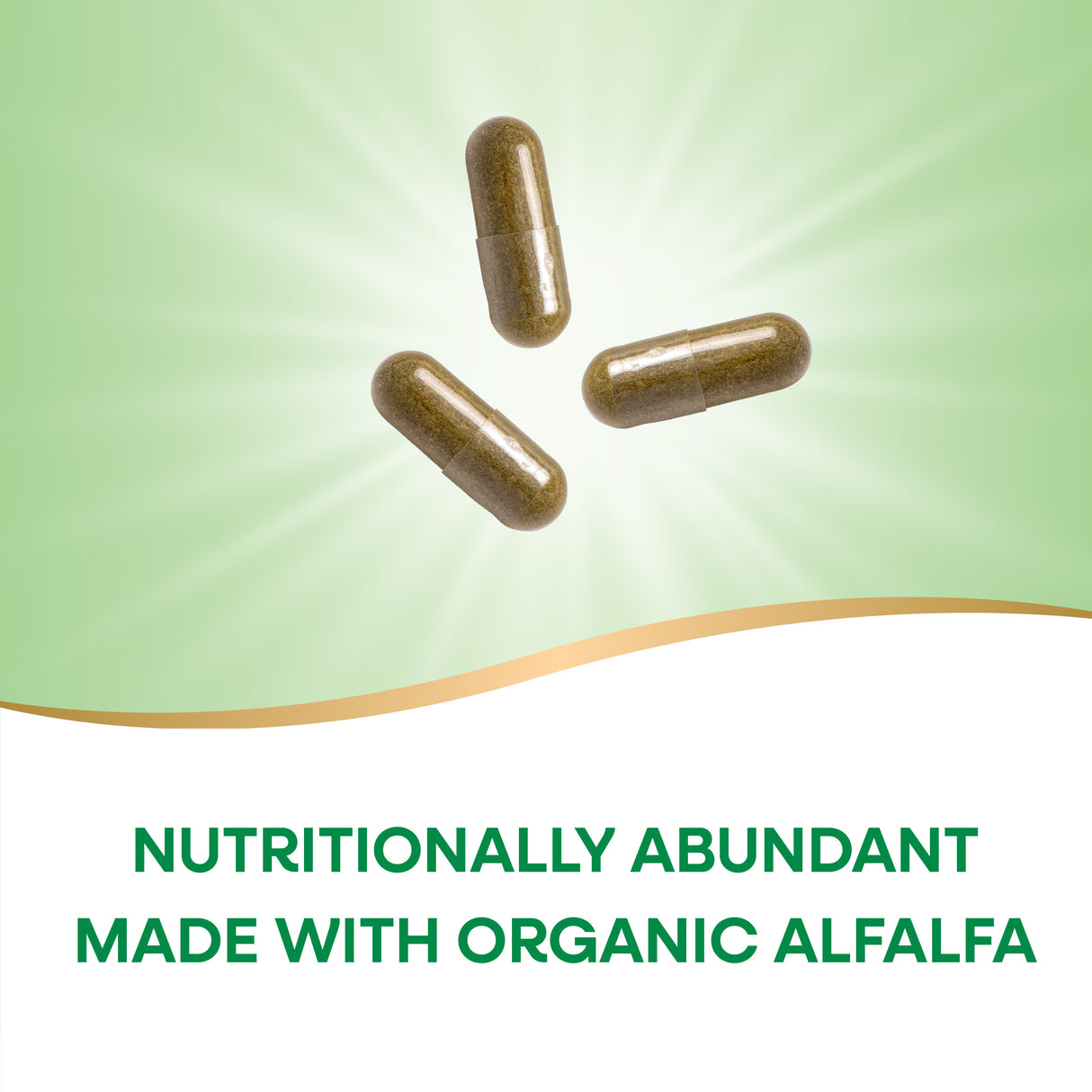 <{%MAIN2_10100%}>Nature's Way® | Alfalfa