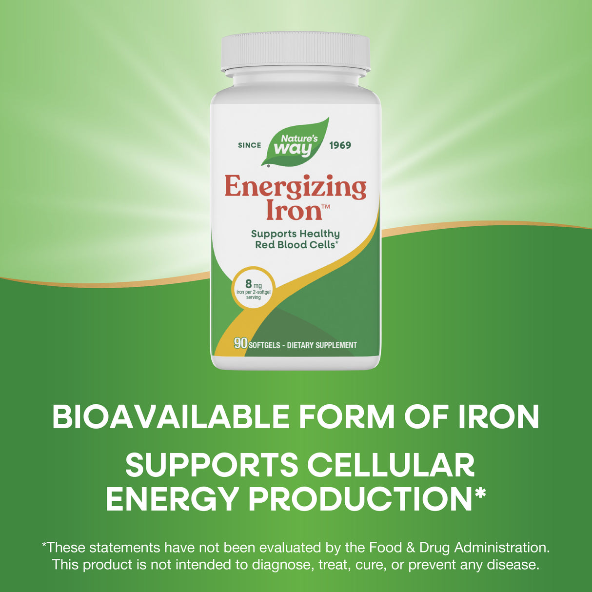 <{%MAIN3_05219%}>Nature's Way® | Energizing Iron