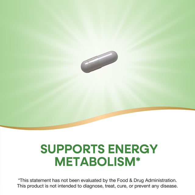 <{%MAIN2_40470%}>Nature's Way® | Niacin Vitamin B3