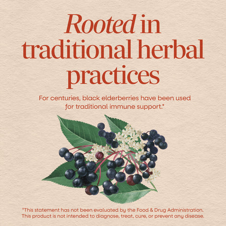 <{%MAIN2_12440%}>Nature's Way® | Black Elderberry
