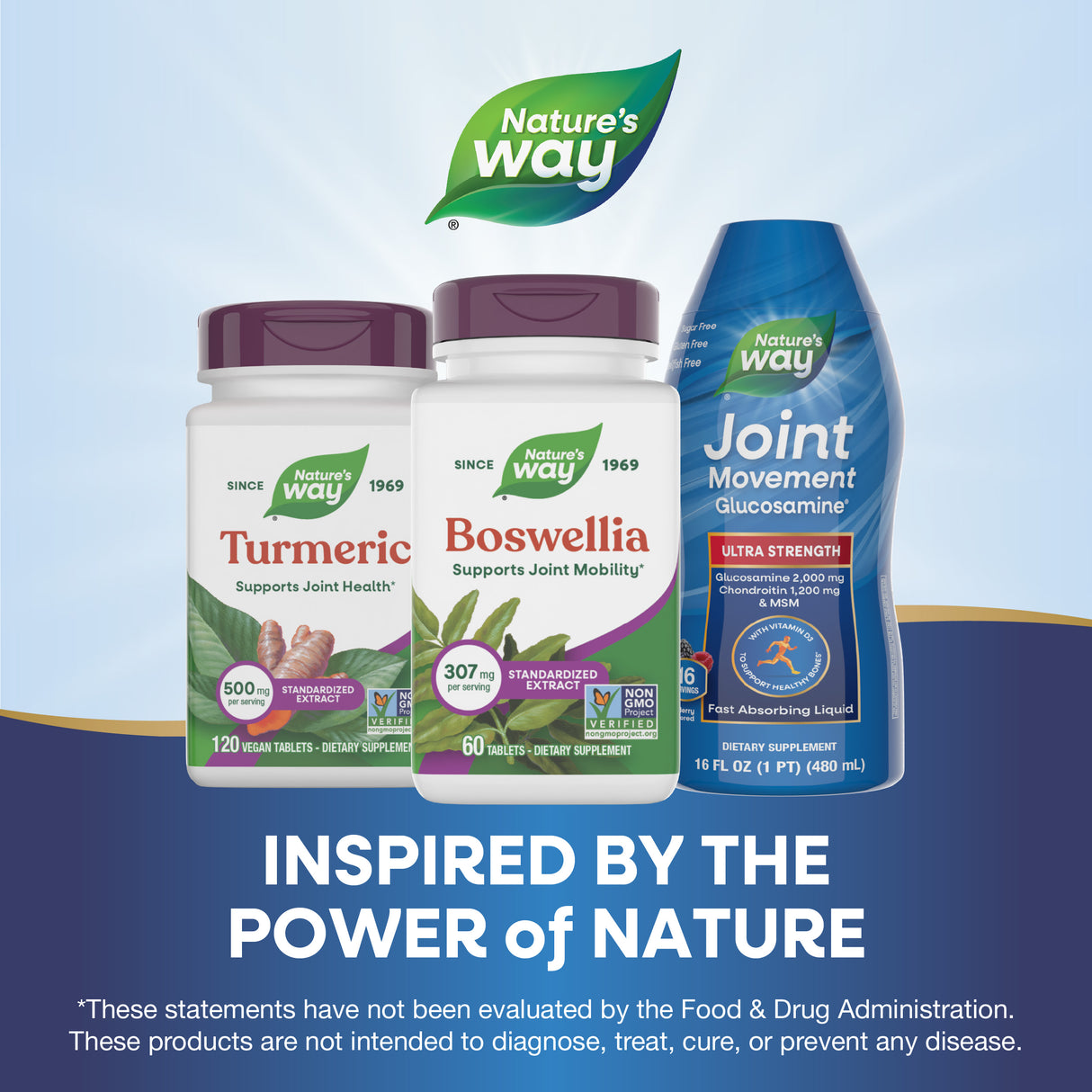 <{%MAIN5_64400%}>Nature's Way® | Boswellia Standardized Extract