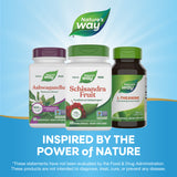 <{%MAIN5_16800%}>Nature's Way® | Schisandra Fruit