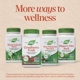 <{%MAIN13_15361%}>Nature's Way® | Cranberry Fruit
