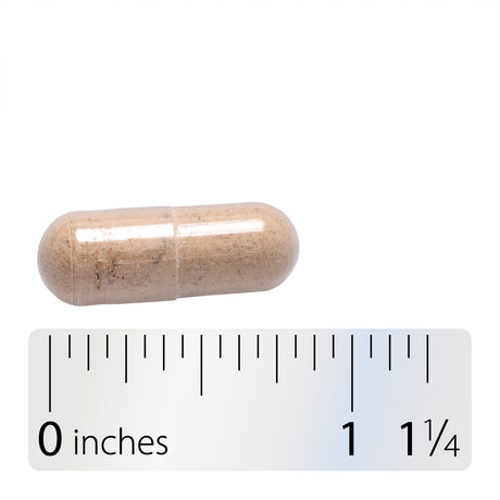 <{%360IMAGE4_64200%}>Nature's Way® | Maca Standardized Extract - Capsule and ruler