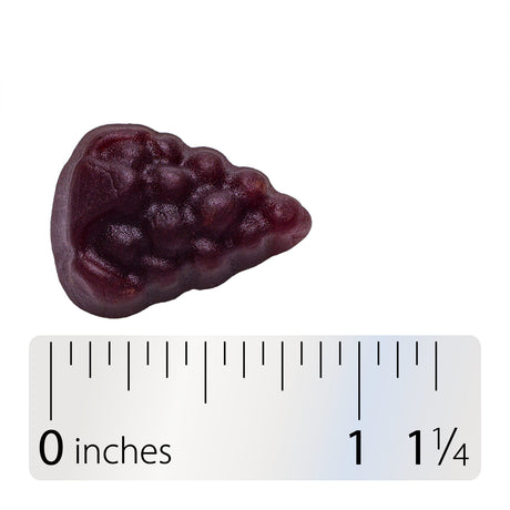 <{%360IMAGE3_15027%}>Nature's Way® | Sambucus Elderberry Zero Sugar Immune Gummies for Kids - Gummy and ruler