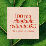 <{%MAIN3_40421%}>Nature's Way® | Riboflavin Vitamin B2