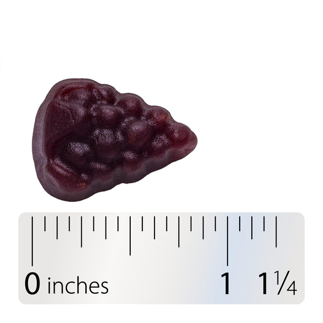 <{%360IMAGE3_14616%}>Nature's Way® | Sambucus Elderberry Zero Sugar Immune Gummy - Gummy and ruler