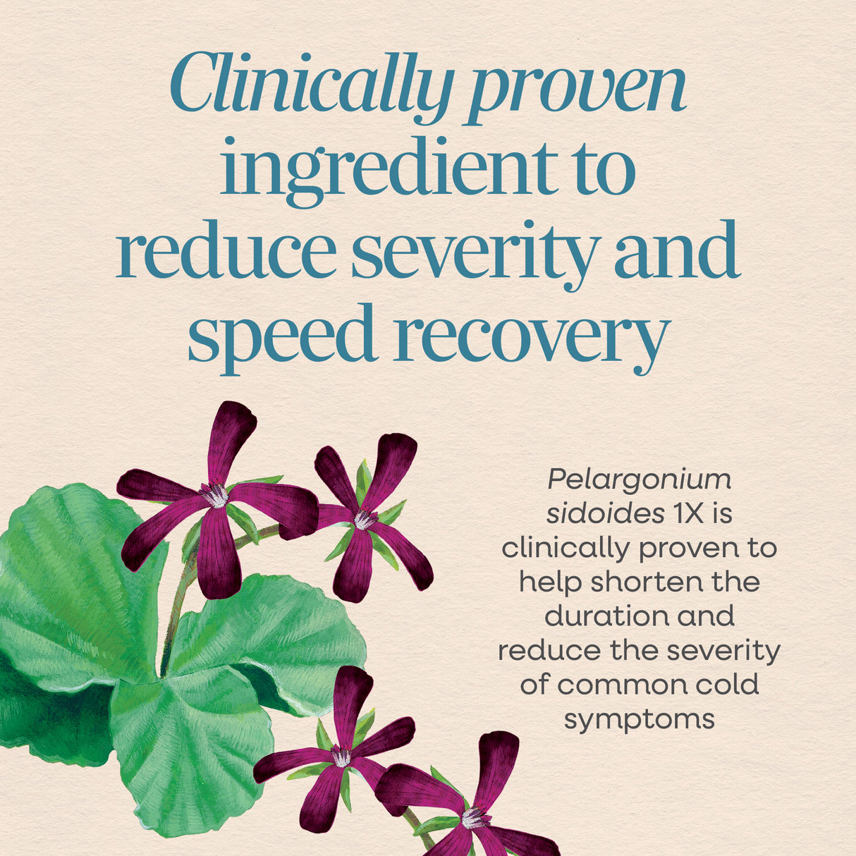 <{%MAIN3_15270%}>Nature's Way® | Umcka Cold Relief Drops