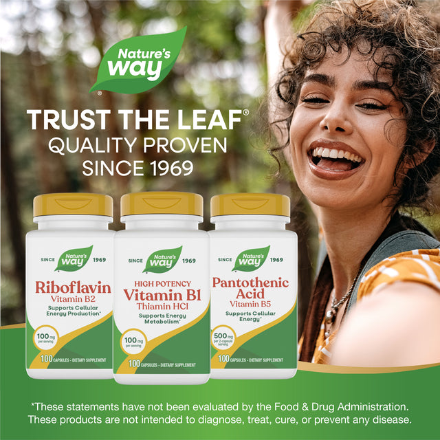 <{%MAIN5_40411%}>Nature's Way® | Vitamin B1 High Potency Thiamin HCl
