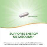 <{%MAIN2_05186%}>Nature's Way® | 7-KETO DHEA Metabolite
