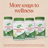 <{%MAIN13_12300%}>Nature's Way® | Dandelion Root