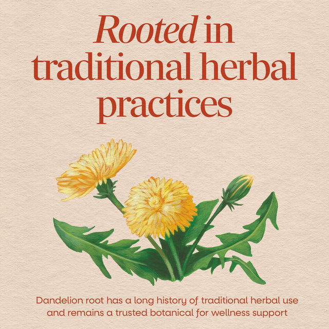 <{%MAIN2_15336%}>Nature's Way® | Dandelion Root