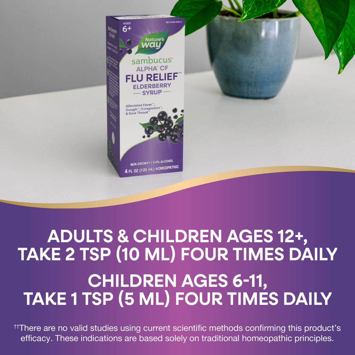 <{%DETAIL2_15803%}>Nature's Way® | Sambucus Flu Relief** Elderberry Syrup - product recommendations