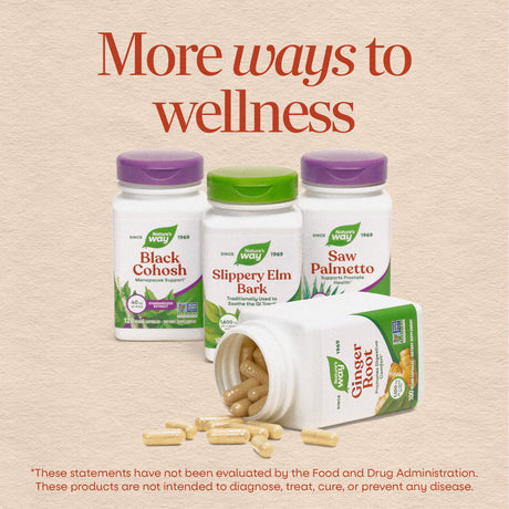 <{%MAIN6_6958%}>Nature's Way® | Thisilyn Milk Thistle Extract