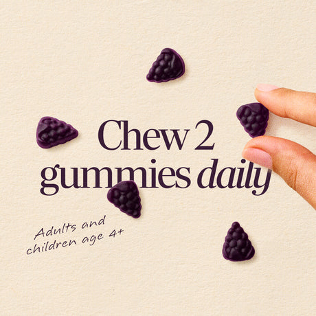 <{%DETAIL2_14617%}>Nature's Way® | Sambucus Elderberry Zero Sugar Immune Gummy
