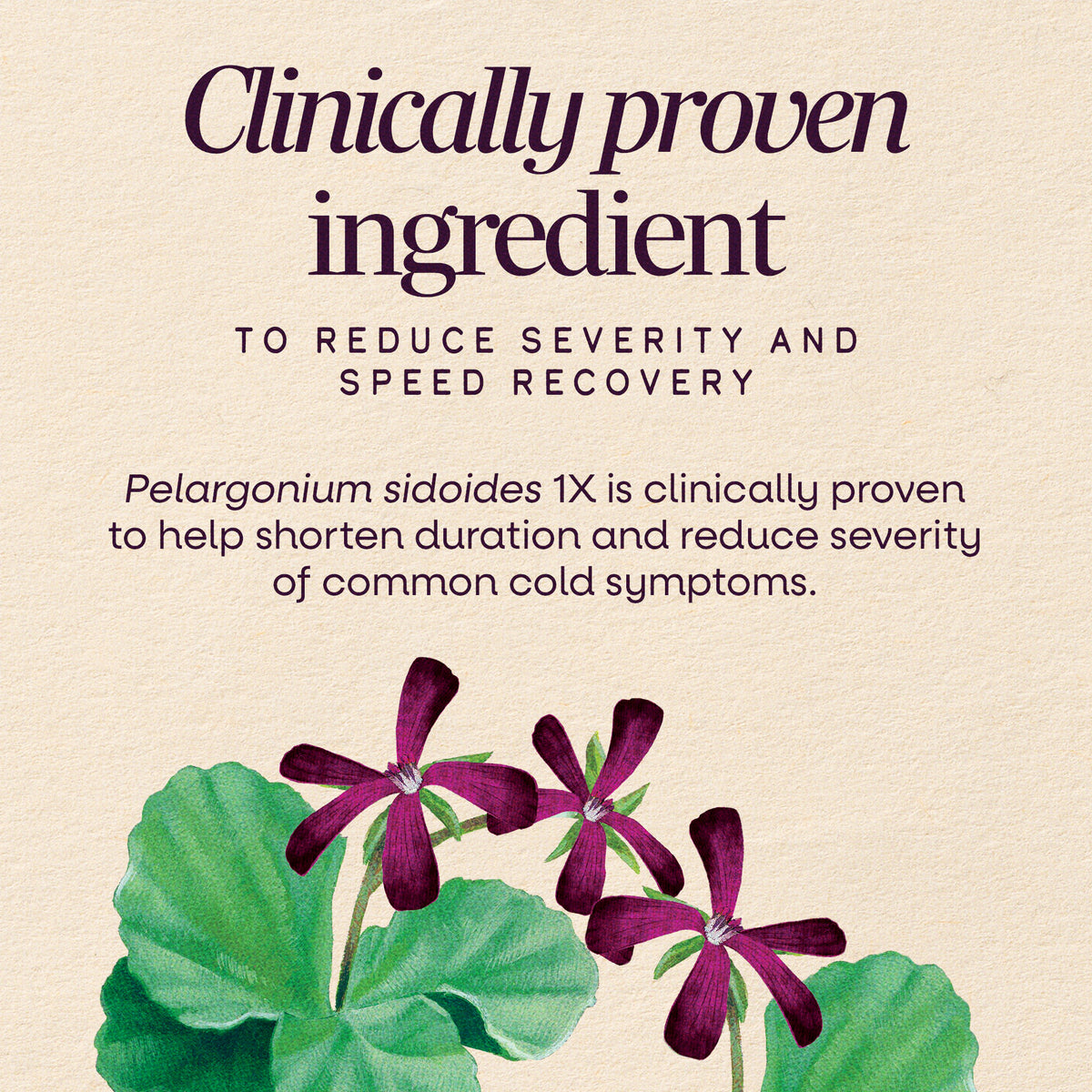 <{%MAIN3_15182%}>Nature's Way® | Sambucus Cold+Flu Relief Elderberry Hot Drink