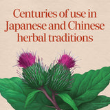 <{%MAIN2_11200%}>Nature's Way® | Burdock Root