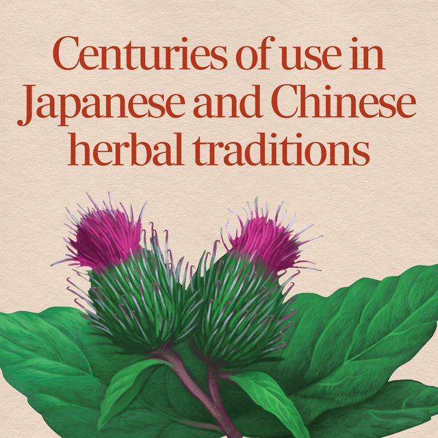 <{%MAIN2_11200%}>Nature's Way® | Burdock Root