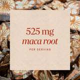 <{%MAIN3_15310%}>Nature's Way® | Maca Root