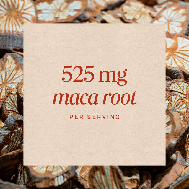 <{%MAIN3_15310%}>Nature's Way® | Maca Root