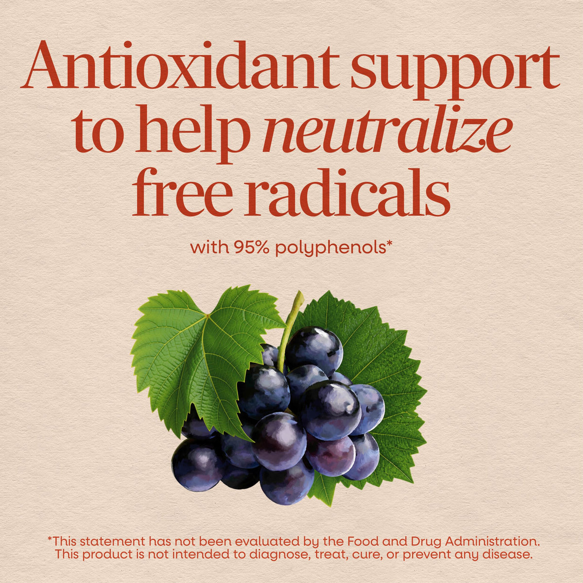 <{%MAIN2_15352%}>Nature's Way® | Grape Seed Standardized Extract