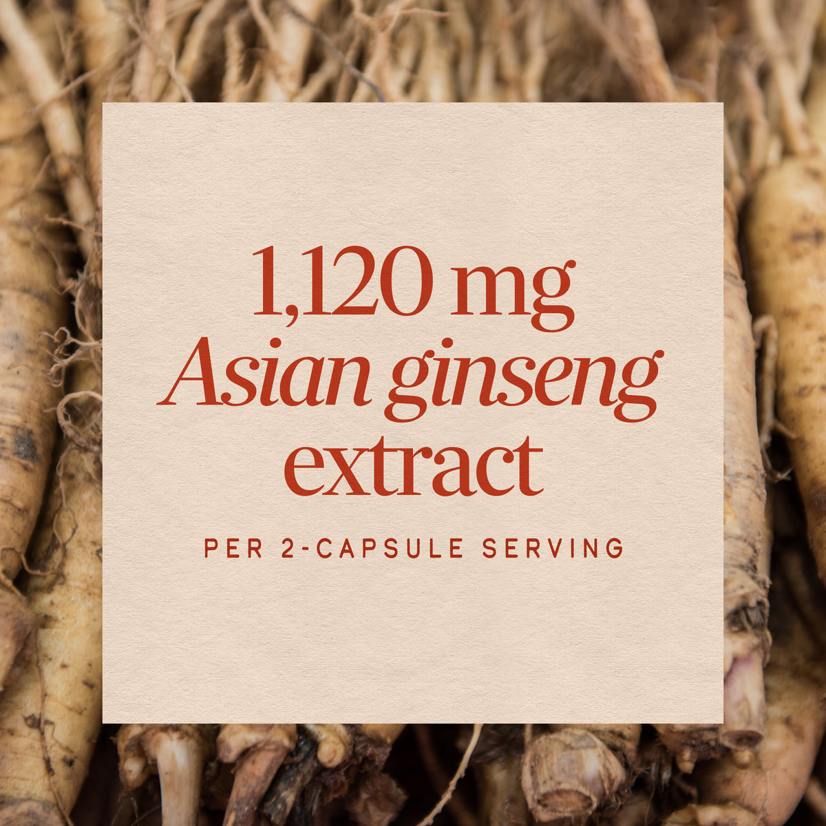 <{%MAIN9_13300%}>Nature's Way® | Asian Ginseng