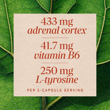 <{%MAIN3_04035%}>Nature's Way® | Adrenal Stress-End