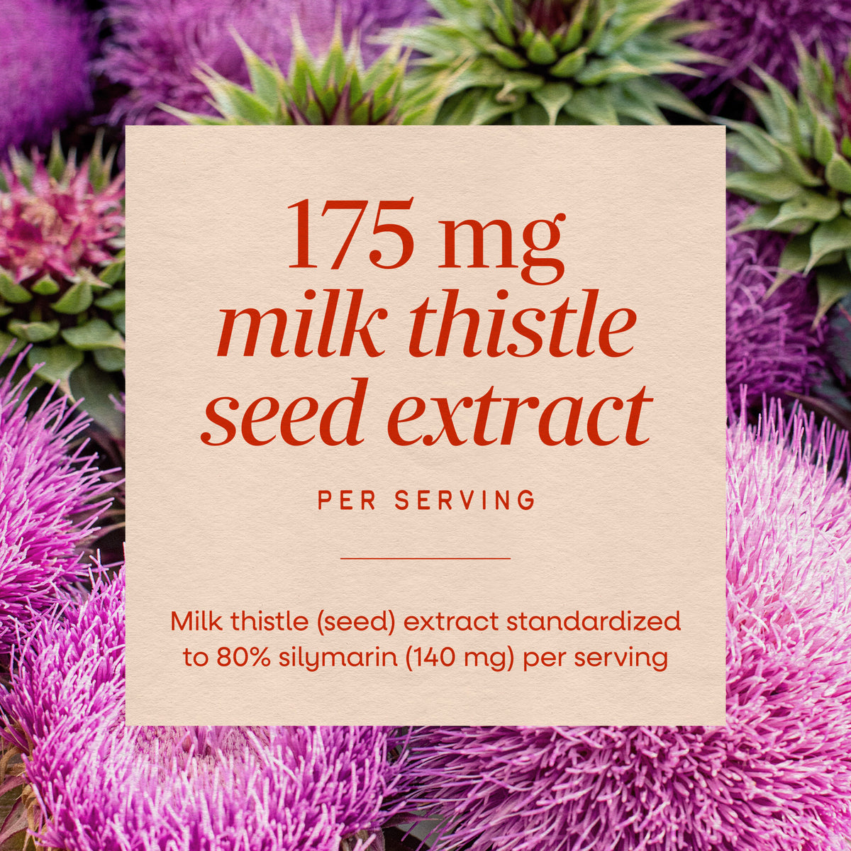 <{%MAIN10_15355%}>Nature's Way® | Milk Thistle