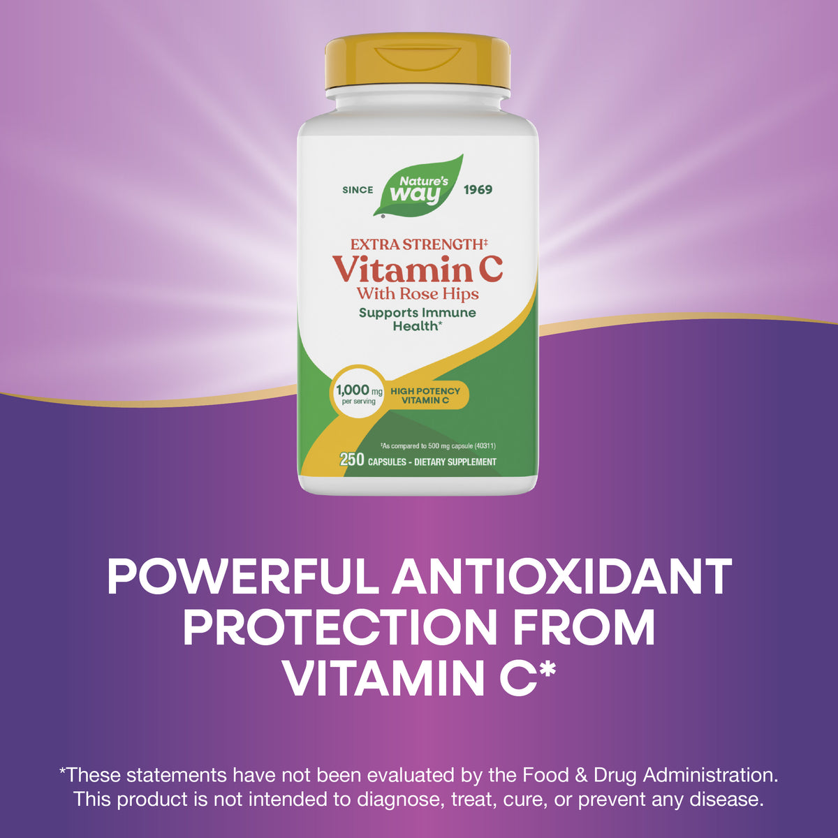 <{%MAIN3_40313%}>Nature's Way® | Vitamin C with Rose Hips Extra Strength