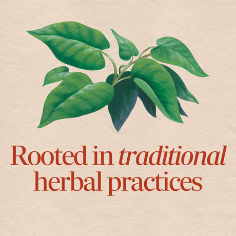 <{%MAIN2_12900%}>Nature's Way® | Fo-Ti Root
