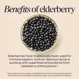 <{%MAIN3_6971%}>Nature's Way® | Sambucus Zero Sugar Traditional Elderberry Immune Syrup