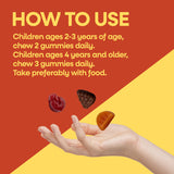 <{%DETAIL2_15789%}>Nature's Way® | Alive! Premium Kids Gummy Multivitamin