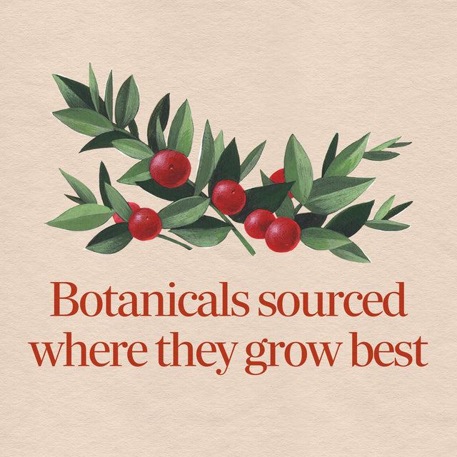 <{%MAIN2_11250%}>Nature's Way® | Butcher's Broom Root