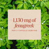 <{%MAIN3_12800%}>Nature's Way® | Fenugreek Seed